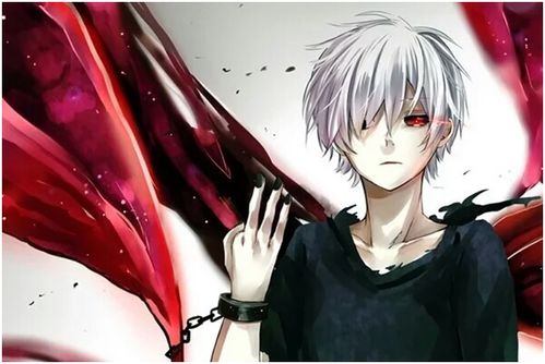 零基础入门动漫设计培训 多媒体设计的创意之旅